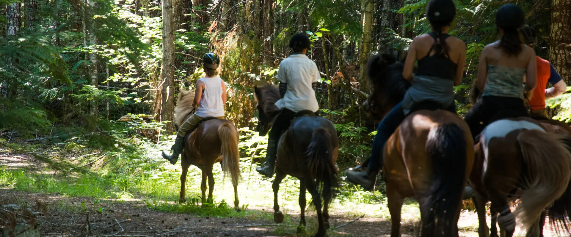 Thunder Mountain Adventures