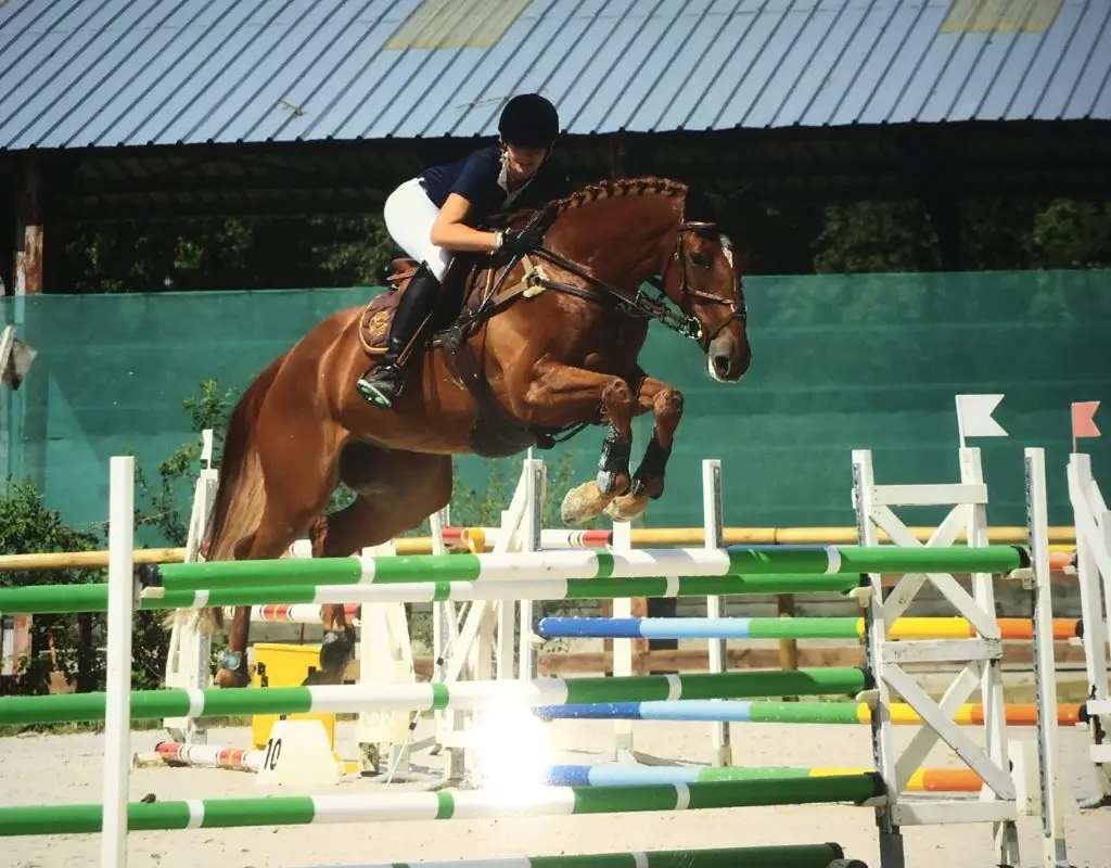 Stables Du Lac