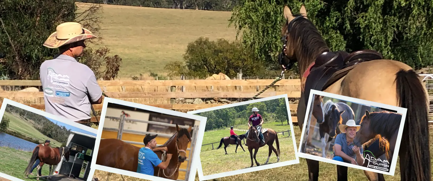 Adam Sutton Allround horsemanship