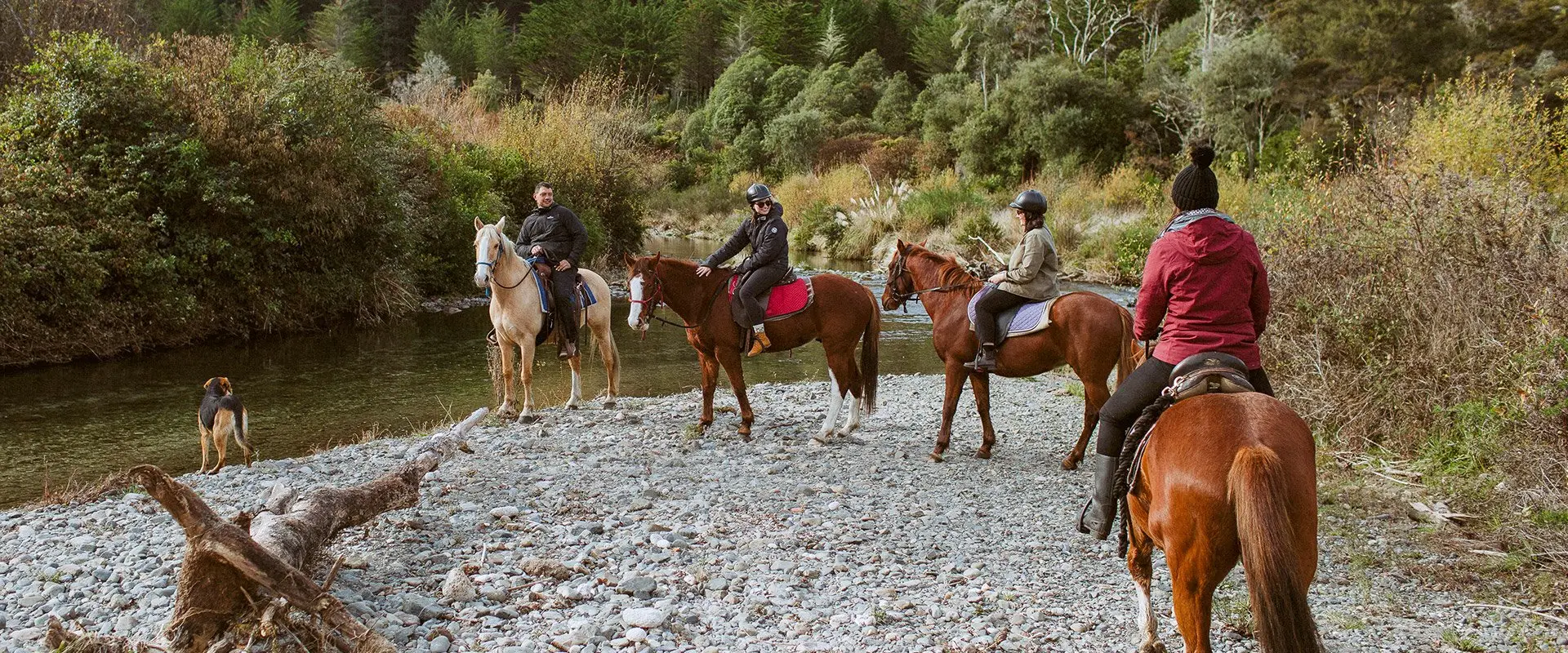 Korohe Horse Treks