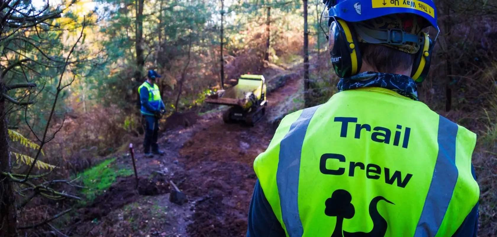Cannock Chase
