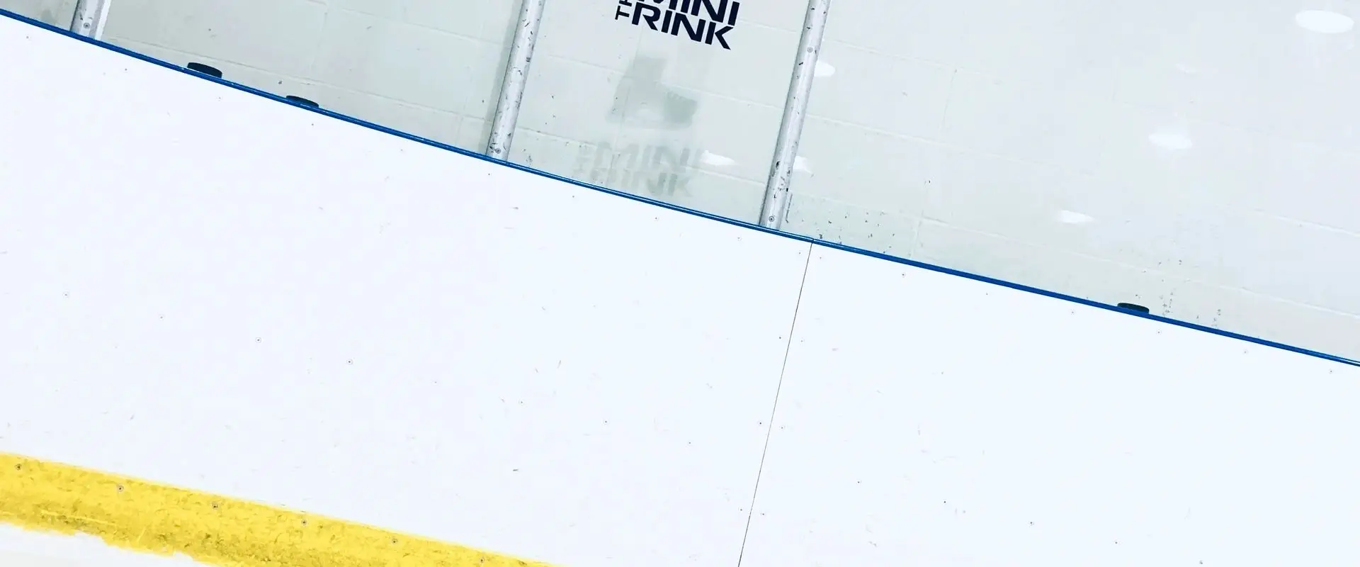 The Mini Rink
