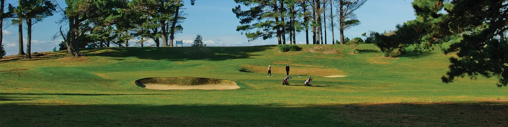 Dunedin golf club
