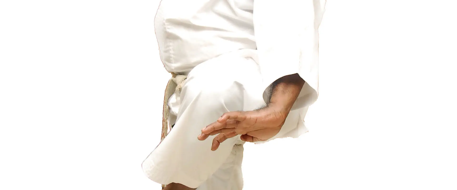 Shorei Kan Karate Do Ryu Kyu Kobudo Hozon kai