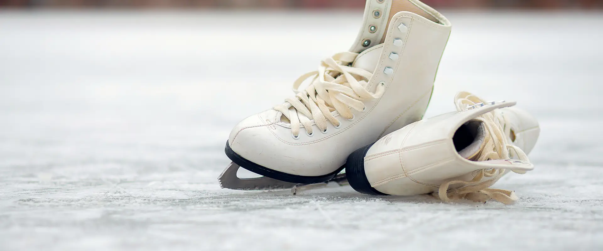 Elmvale Skating Club