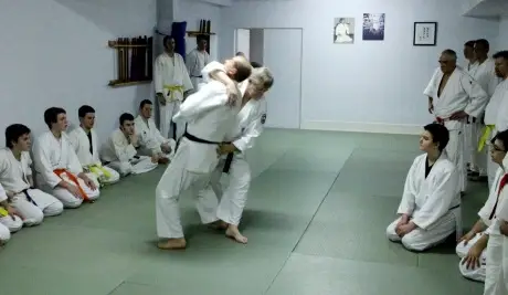 Aikido Yoseikan Budo