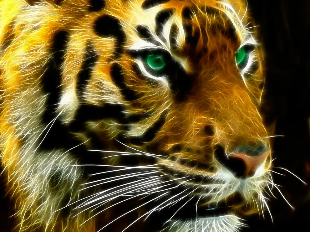 Red Tiger Martial Arts