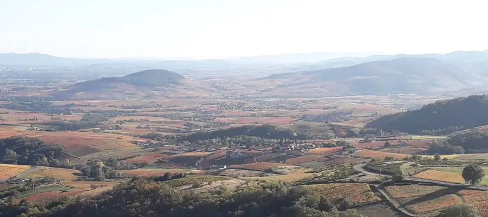 Gîte des Monneries, Beaujolais vert