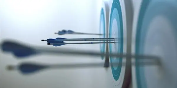 Black and Gold Archers