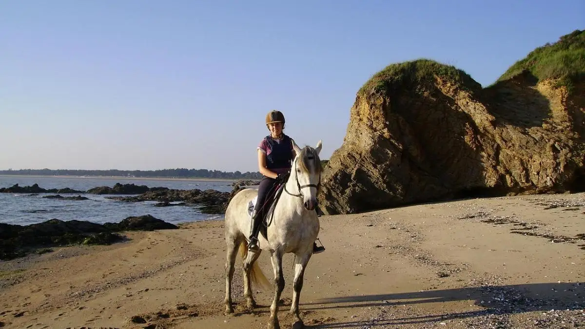 Emilie Guillon Equitation