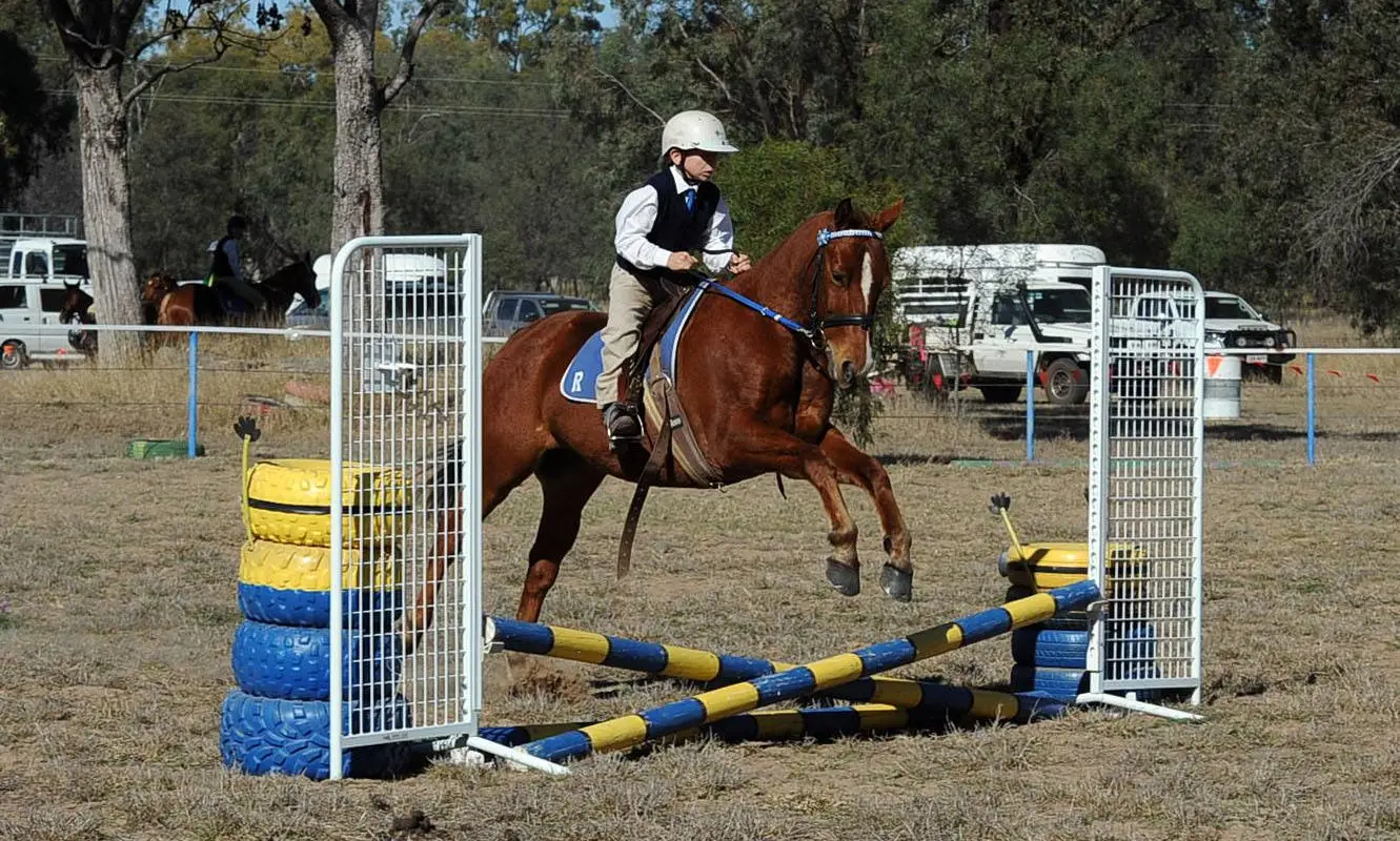 Roma Pony Club