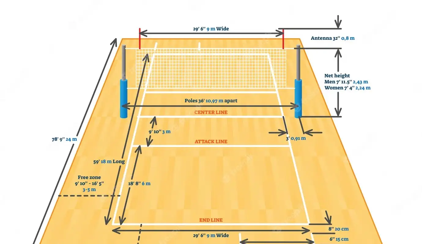 Mole Valley Volleyball Club