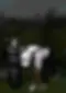 Kubata Golf