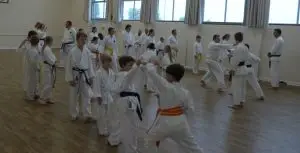 Newport Pagnell Karate Club
