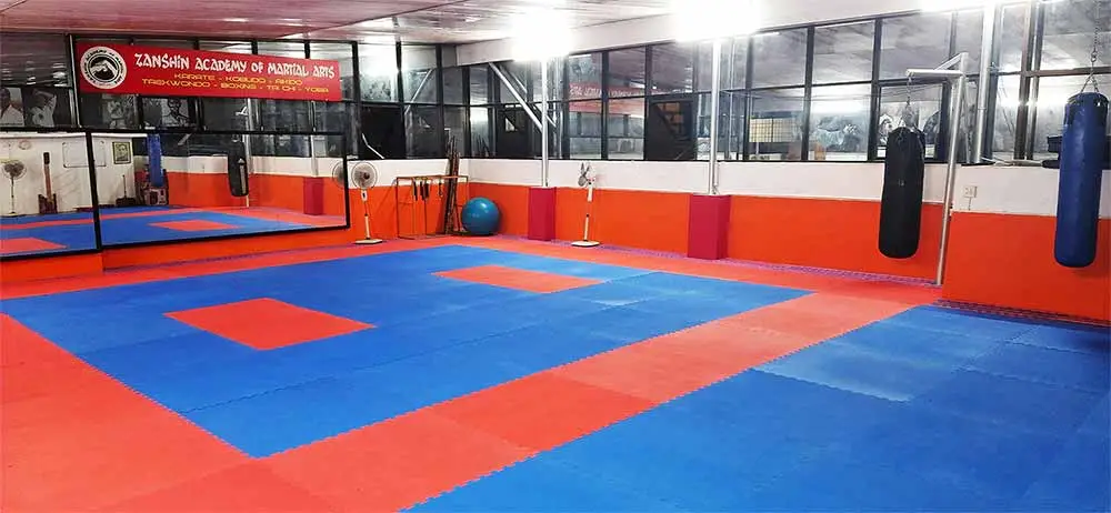 Zanshin Academy of Martial Arts