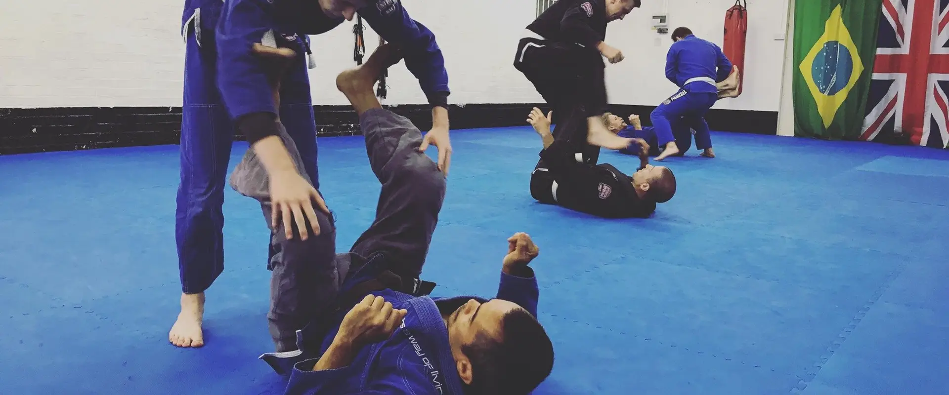 BrazilArte Academy