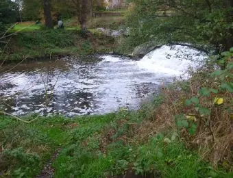 Birmingham Anglers Association