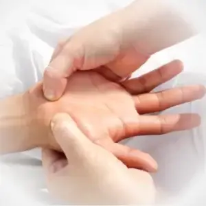 Physio-Ergo