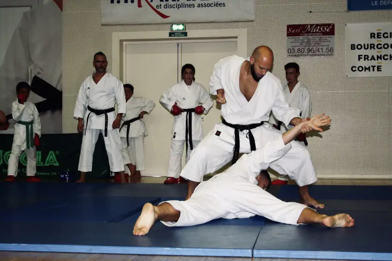 Academy Karate And Disciplines Related De Chevigny Saint-Sauveur