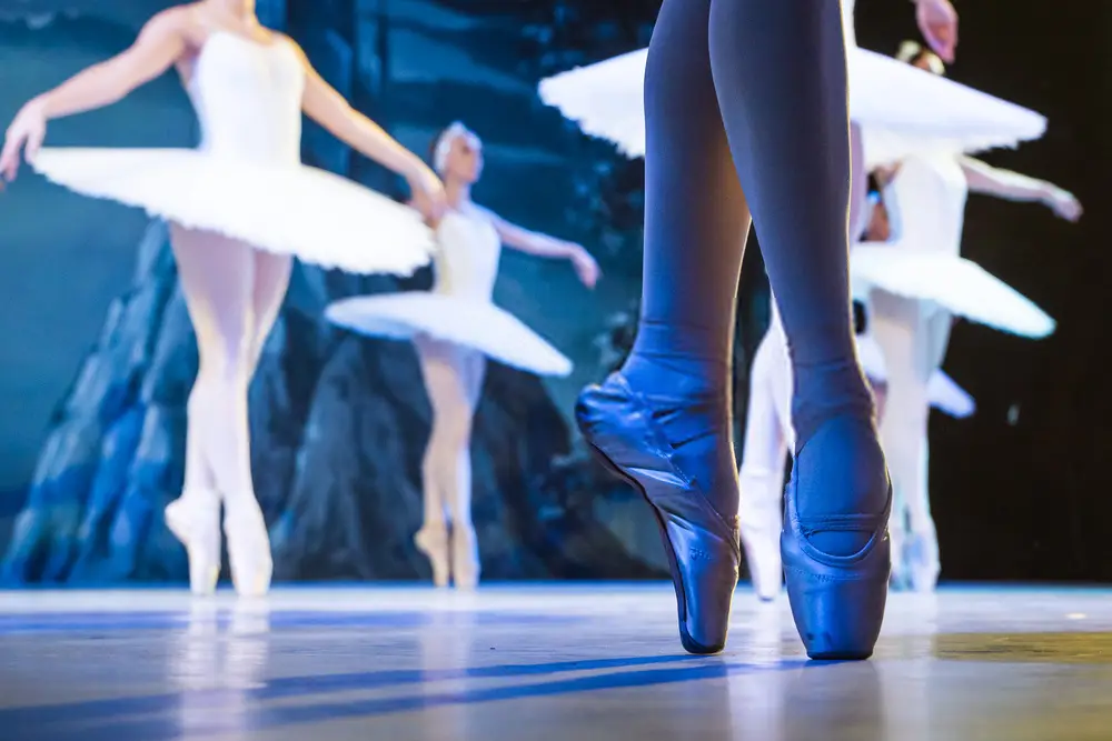 Bray School of Dance