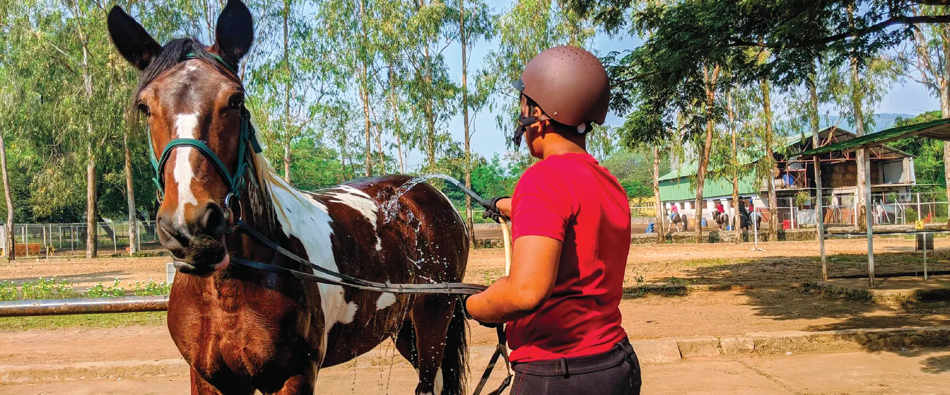 Horse Riding Camps