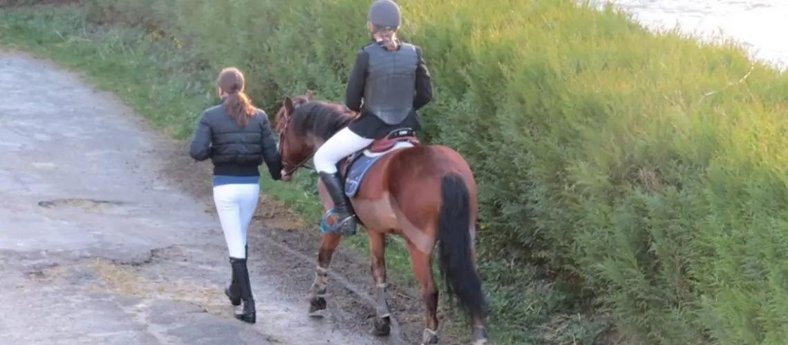 Club Equestrian Saint-Julien