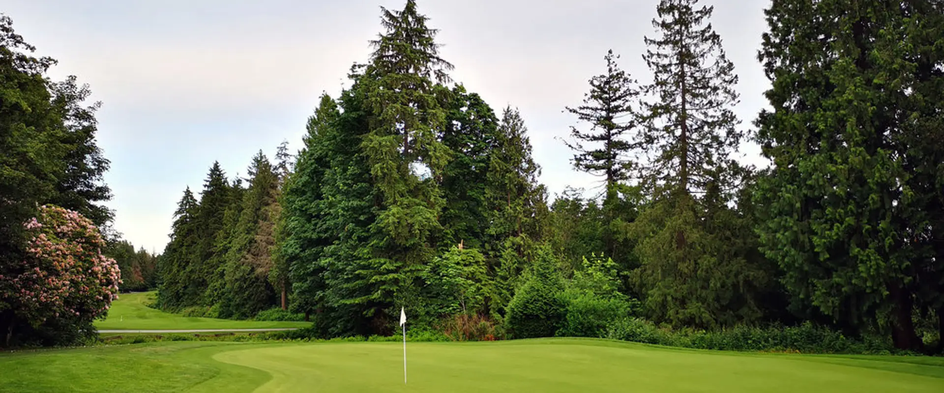 Monaghan Golf Group