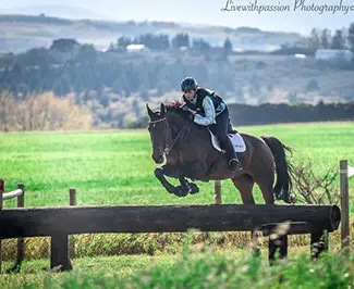 Eversfield Equestrian
