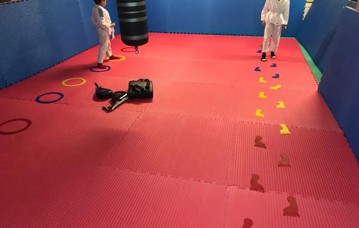 Jeff coaching taekwondo IDF