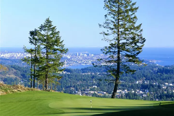 BC Golf Safaris