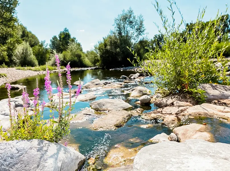 Camping Paradis Domaine de Gaujac - Anduze