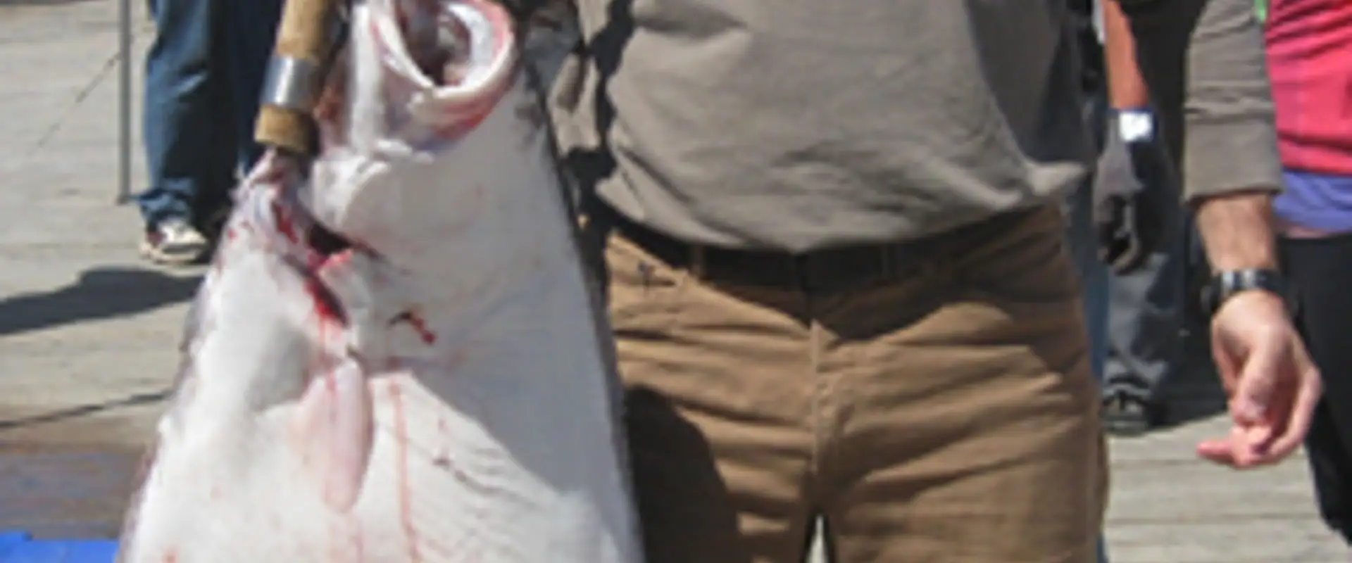 Port Renfrew Fishing Adventures
