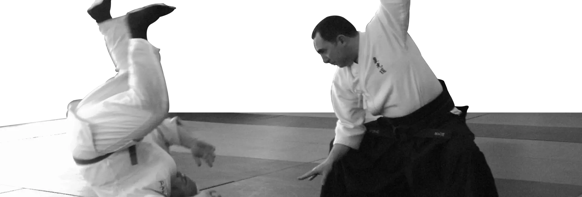 KoKoDo Jujutsu Victoria Study Group