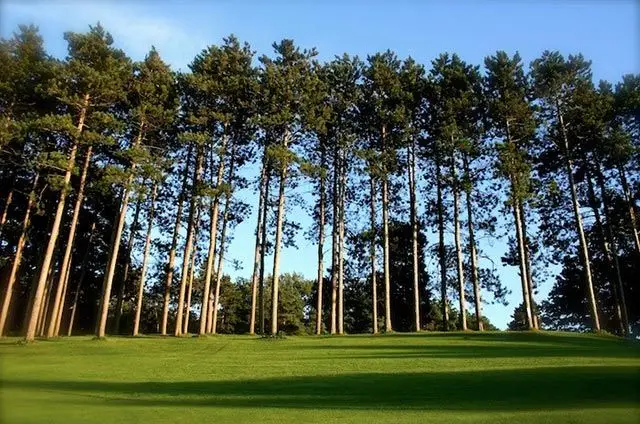 Pine Valley Golf Club