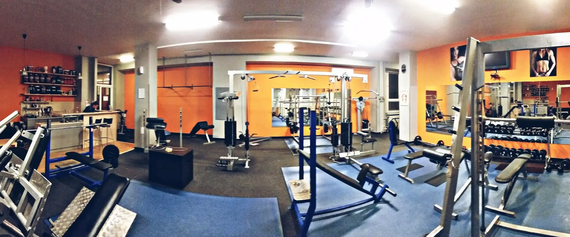 Flex Fitness