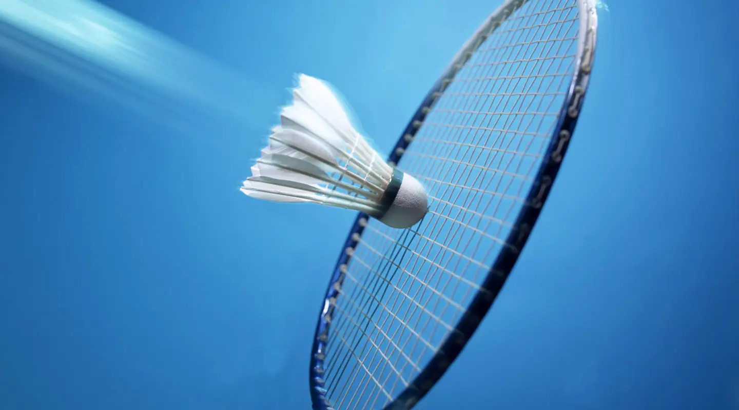 Phoenix Badminton Club