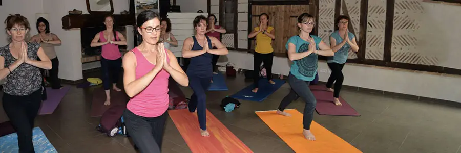 Enpy : National School Teachers De Yoga Sud-Est