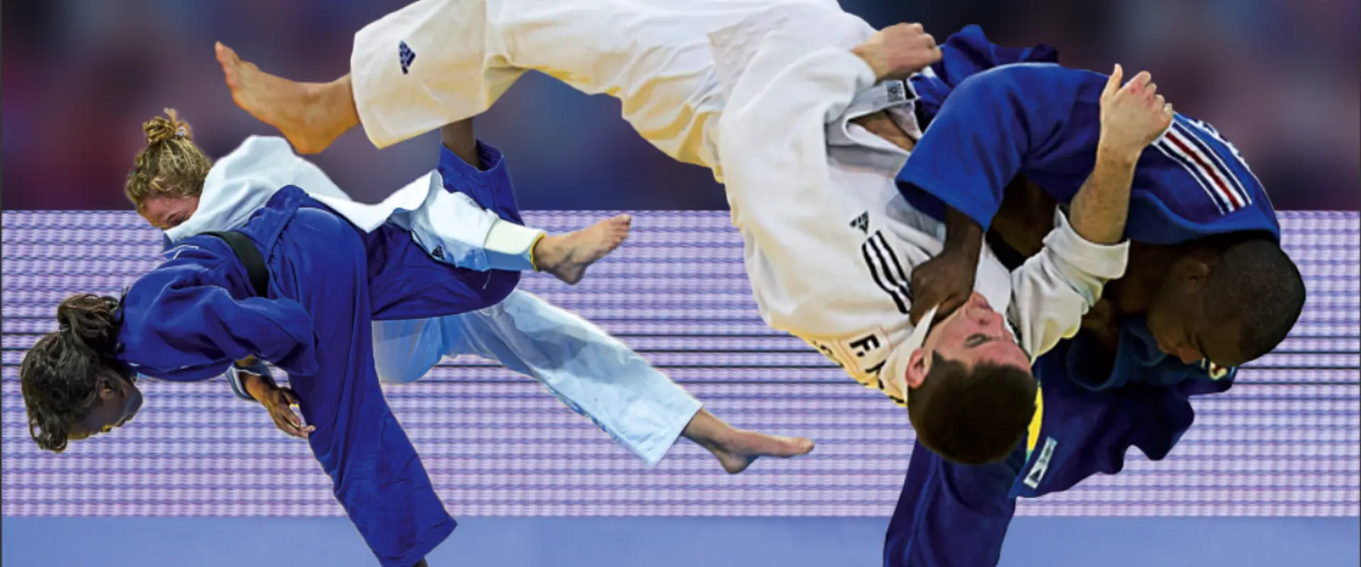 Avenir Fonsorbais Judo