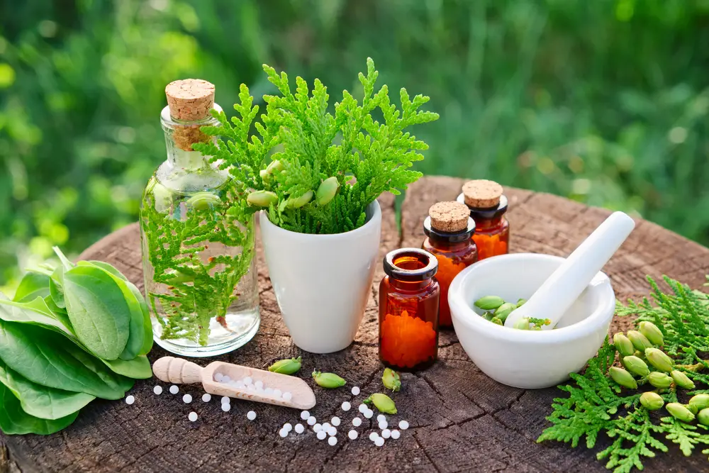 Bapu Dham Ayurvedic Naturopathy & Yoga Centre