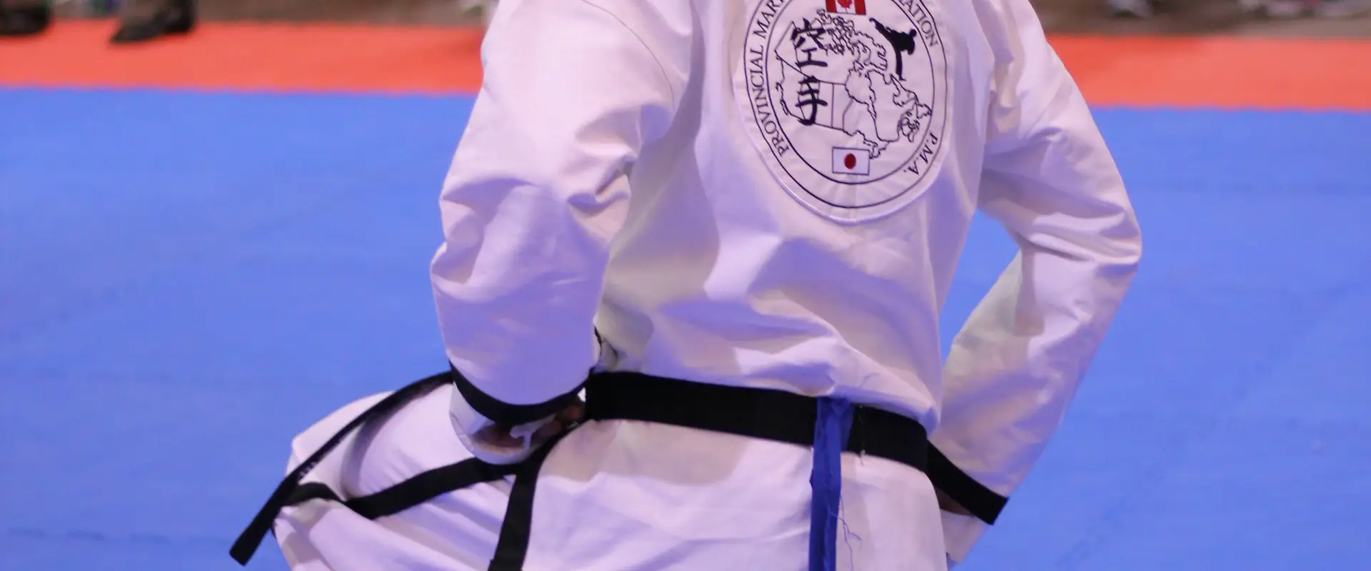 Provincial Martial Arts - Rosedale