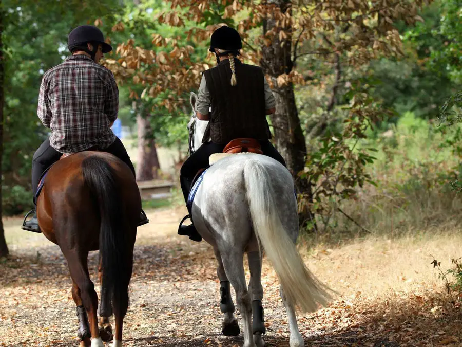 Cheval Malepère