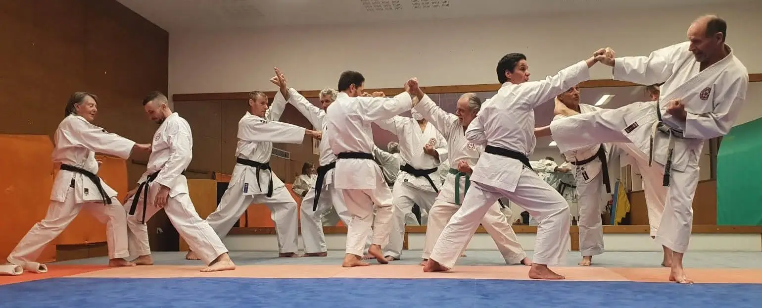Dojo Du Quartz