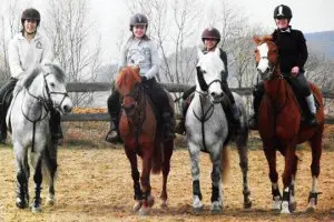 ECURIES DU MONT HUBERT