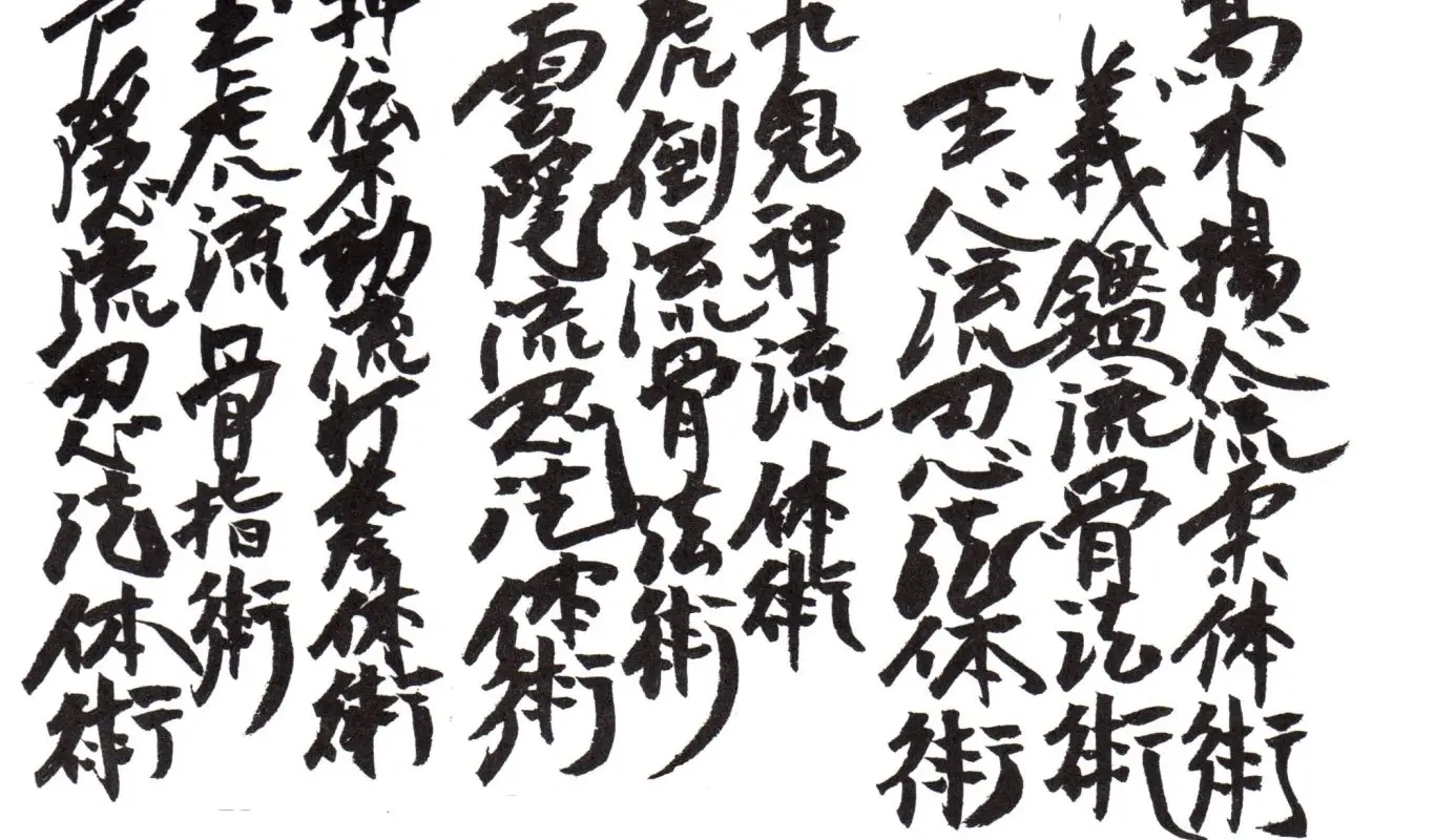 Shadow Warrior Bujinkan Dojo Kingston