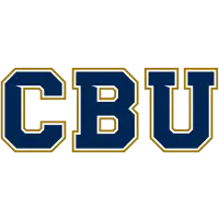 Brisbane Bullets Basketball Club Pty Ltd