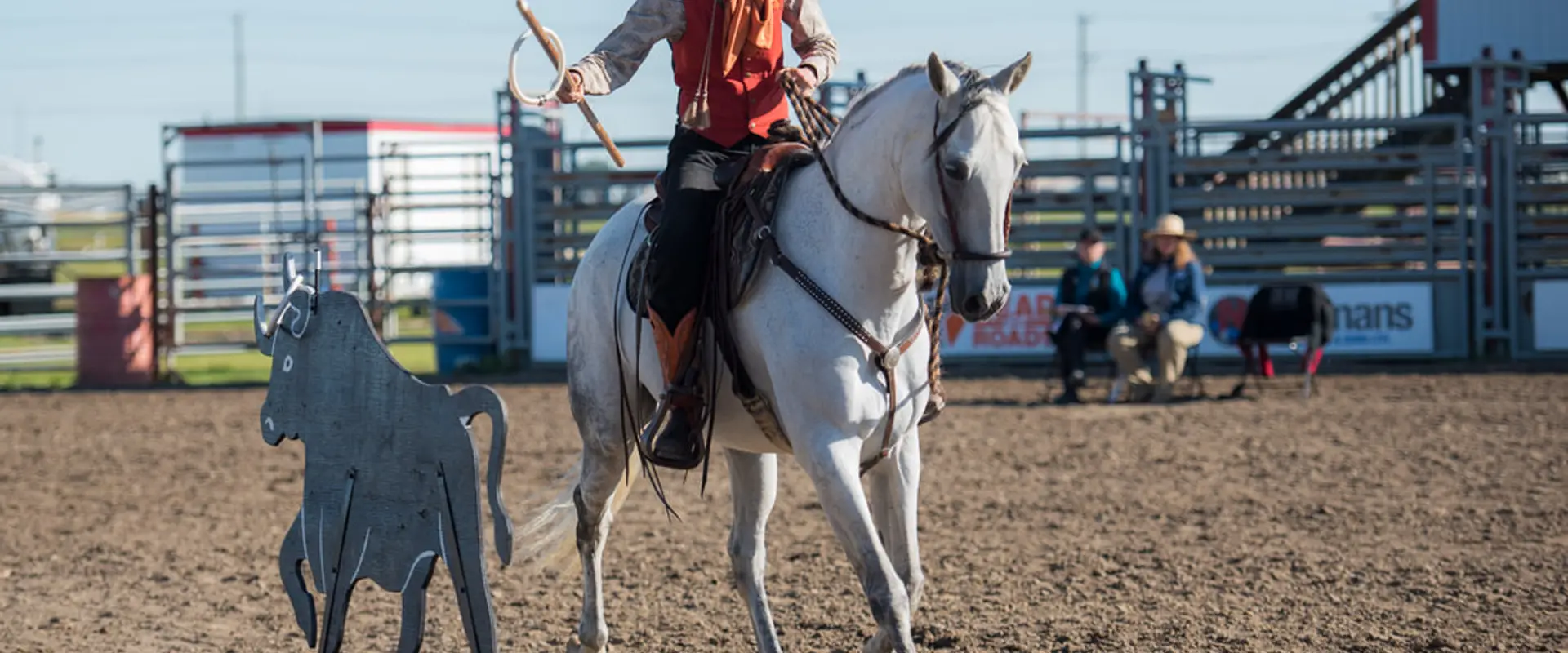 Sandy Lang Horsemanship