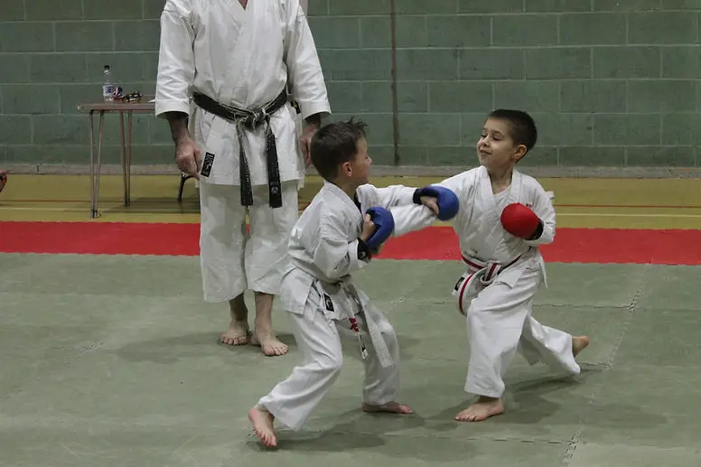 Ni-Sen Karate Kai