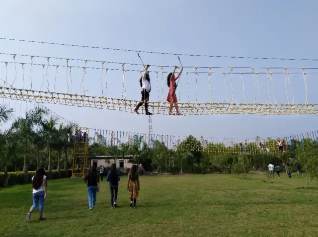 Hans Campsite - Vadodara