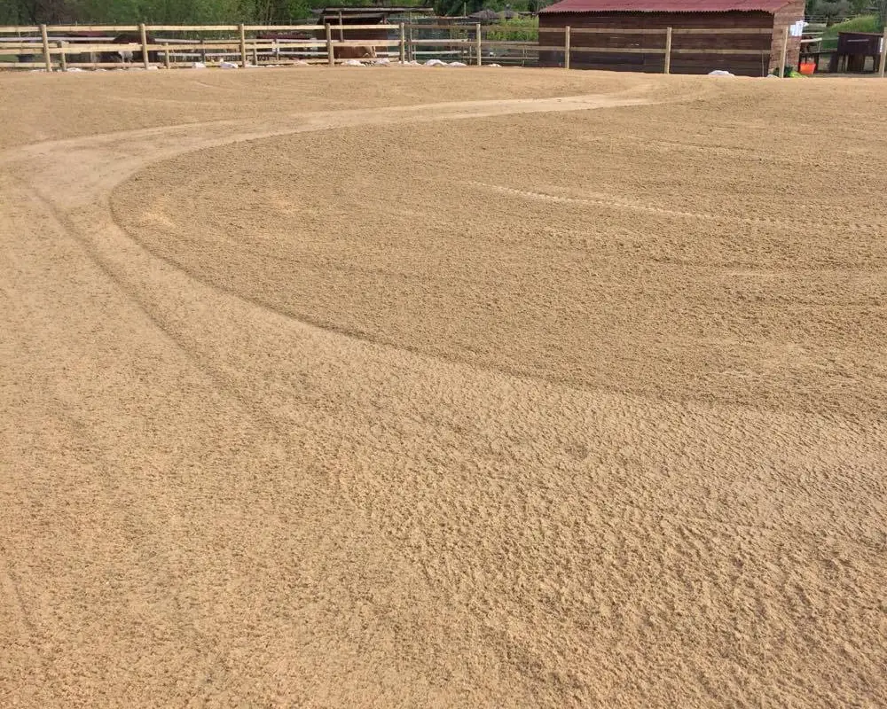 Poney Club A La Ptite Ferme