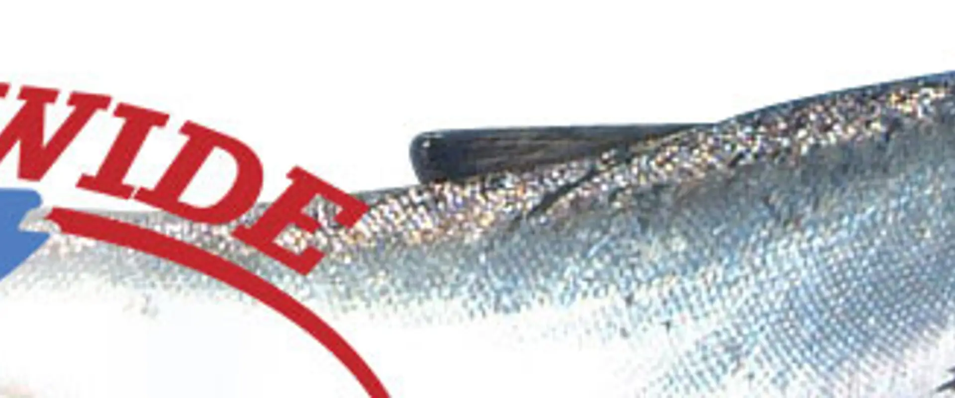 Chads Coastwide Sports Fishing Charters - Port Hardy Fishing Charters